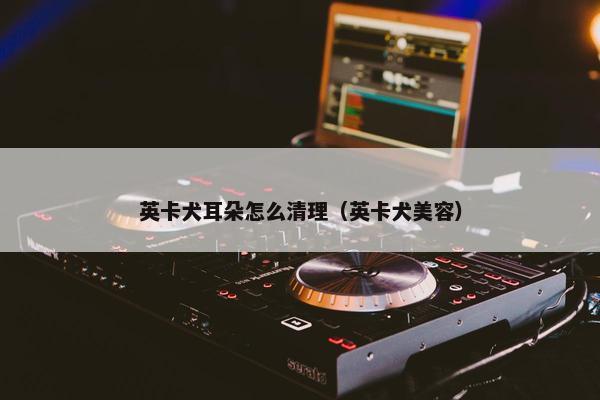 英卡犬耳朵怎么清理（英卡犬美容）
