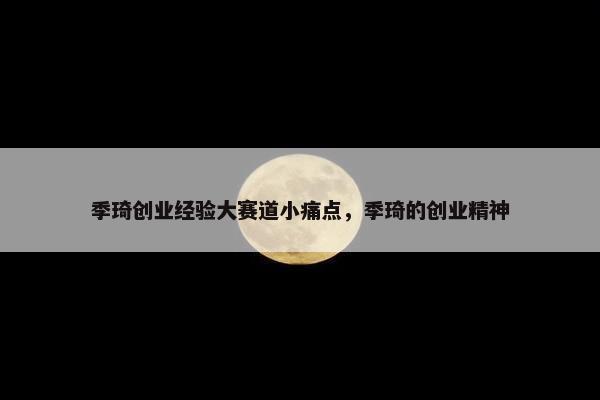 季琦创业经验大赛道小痛点，季琦的创业精神