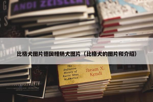 比格犬图片德国腊肠犬图片（比格犬的图片和介绍）