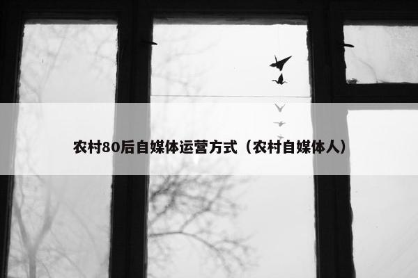 农村80后自媒体运营方式（农村自媒体人）