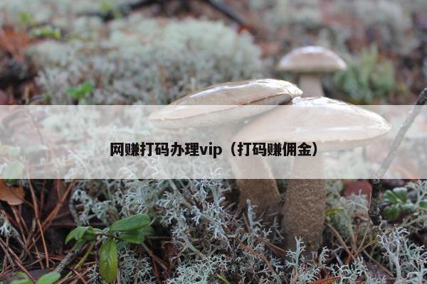 网赚打码办理vip（打码赚佣金）