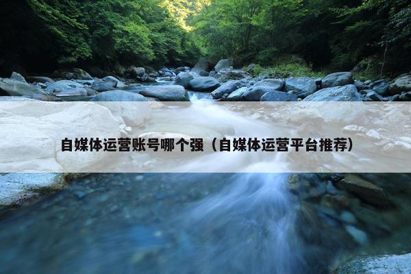 自媒体运营账号哪个强（自媒体运营平台推荐）