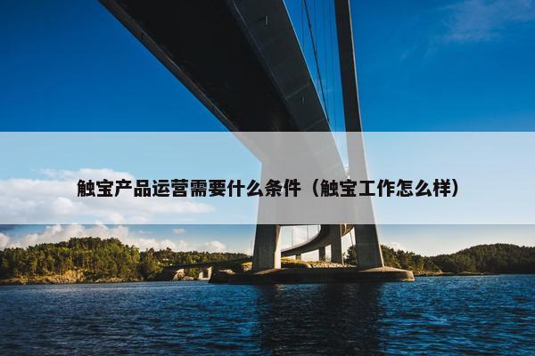 触宝产品运营需要什么条件（触宝工作怎么样）