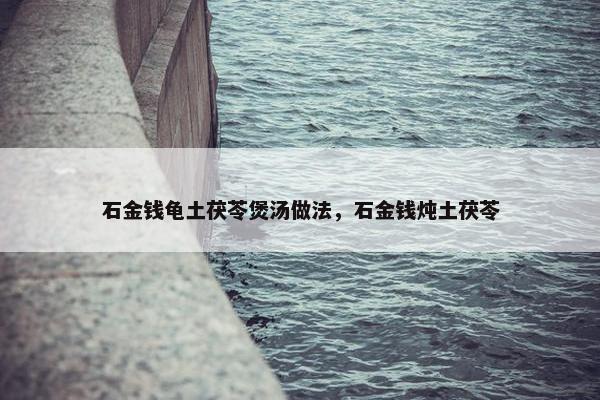 石金钱龟土茯苓煲汤做法，石金钱炖土茯苓
