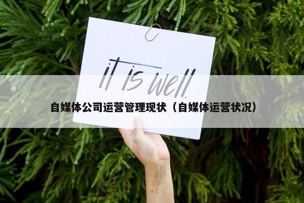 自媒体公司运营管理现状（自媒体运营状况）