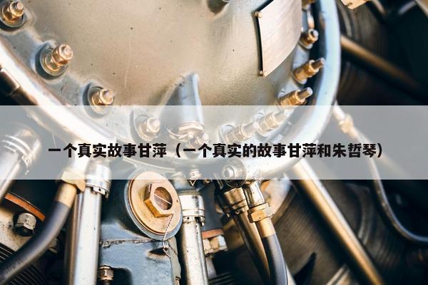 一个真实故事甘萍（一个真实的故事甘萍和朱哲琴）