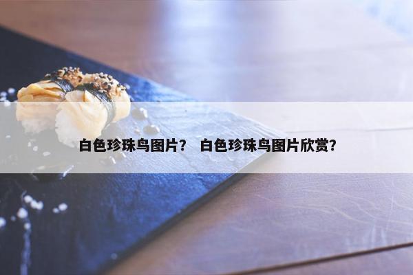 白色珍珠鸟图片？ 白色珍珠鸟图片欣赏？
