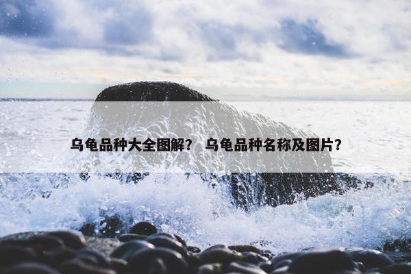 乌龟品种大全图解？ 乌龟品种名称及图片？