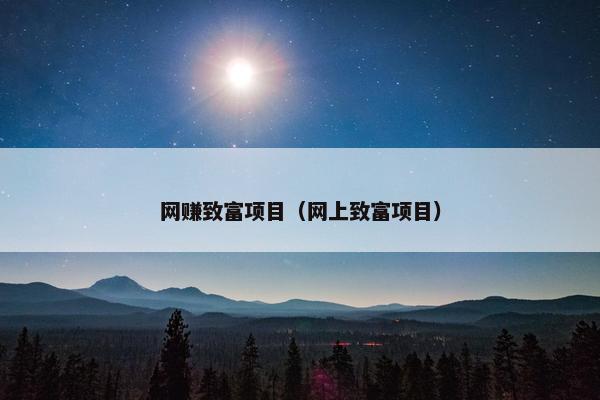网赚致富项目（网上致富项目）