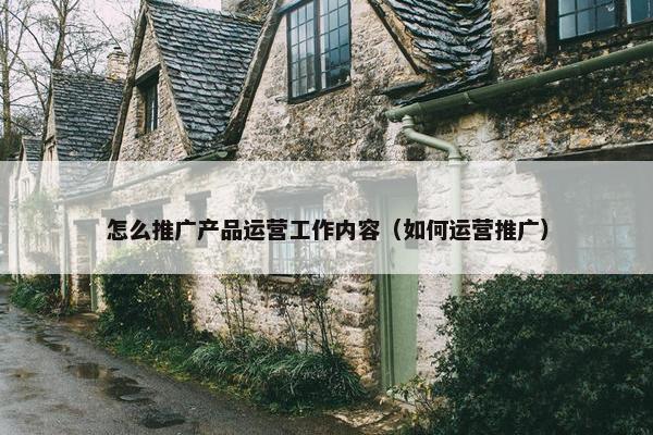 怎么推广产品运营工作内容（如何运营推广）