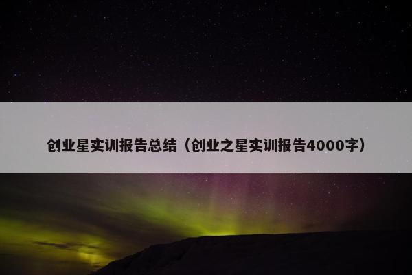 创业星实训报告总结（创业之星实训报告4000字）