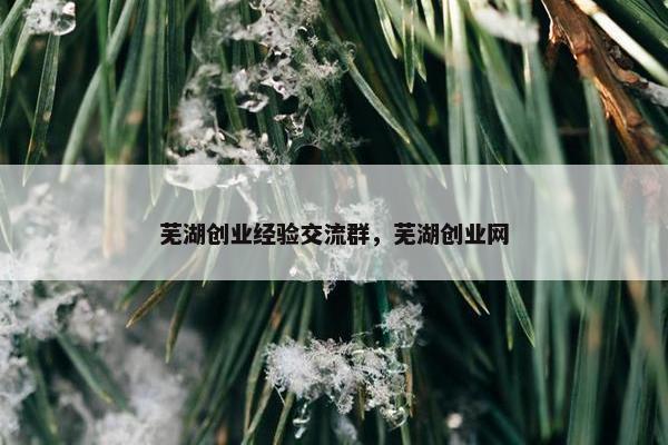芜湖创业经验交流群，芜湖创业网