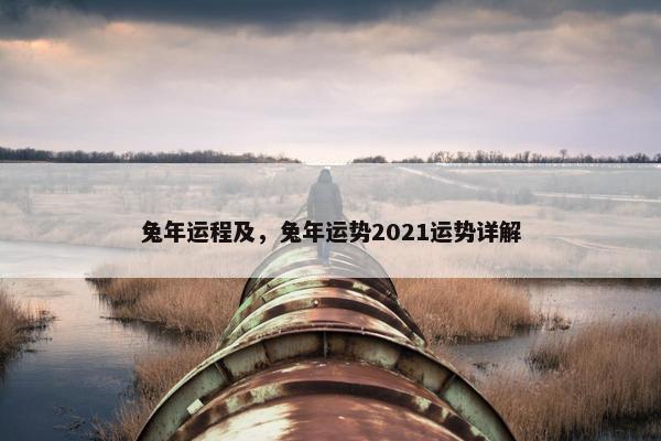 兔年运程及，兔年运势2021运势详解