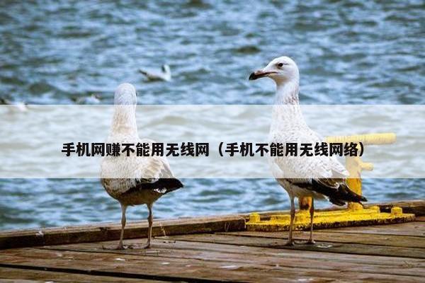 手机网赚不能用无线网（手机不能用无线网络）