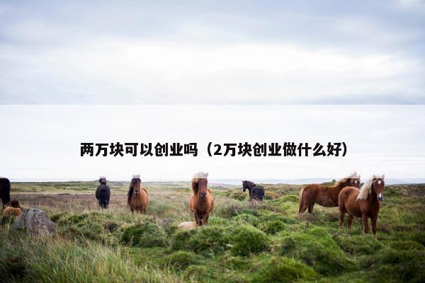 两万块可以创业吗（2万块创业做什么好）
