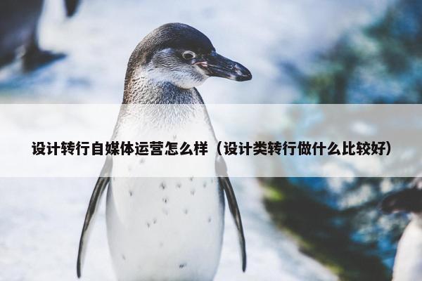 设计转行自媒体运营怎么样（设计类转行做什么比较好）