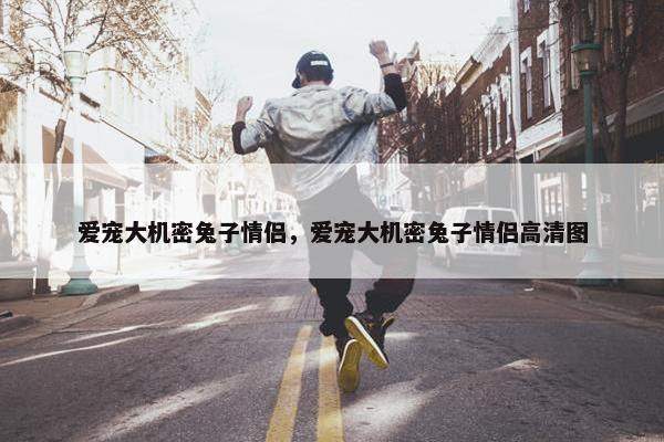 爱宠大机密兔子情侣，爱宠大机密兔子情侣高清图