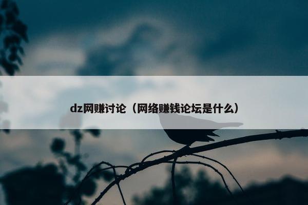 dz网赚讨论（网络赚钱论坛是什么）