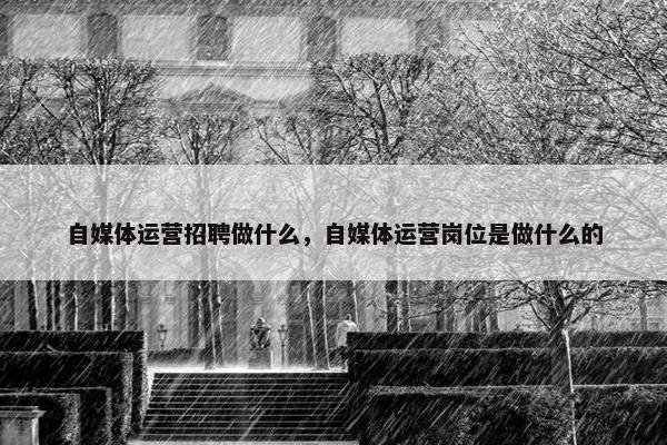 自媒体运营招聘做什么，自媒体运营岗位是做什么的