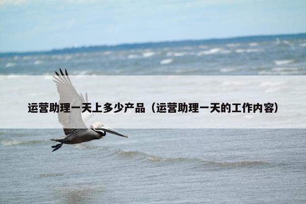运营助理一天上多少产品（运营助理一天的工作内容）
