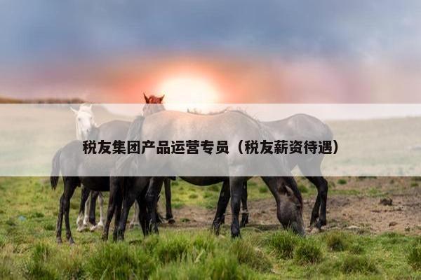 税友集团产品运营专员（税友薪资待遇）