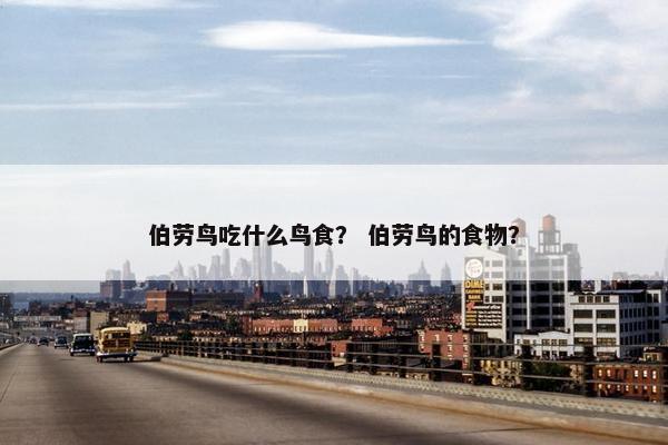 伯劳鸟吃什么鸟食？ 伯劳鸟的食物？