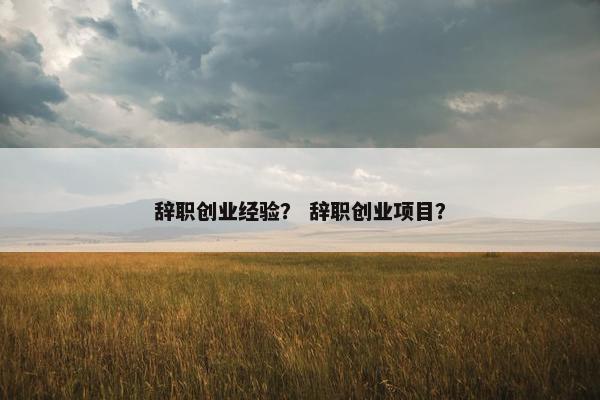 辞职创业经验？ 辞职创业项目？