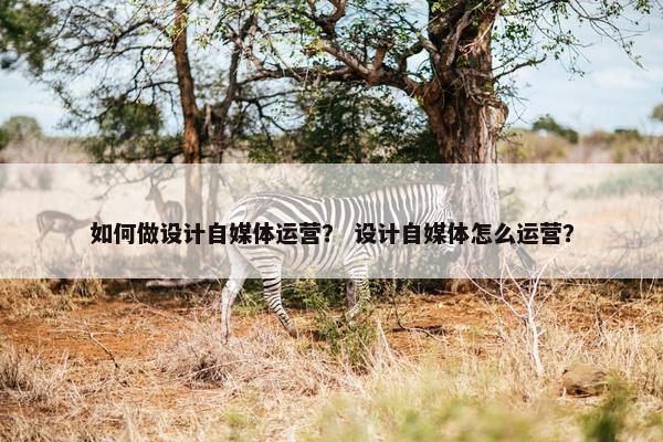 如何做设计自媒体运营？ 设计自媒体怎么运营？