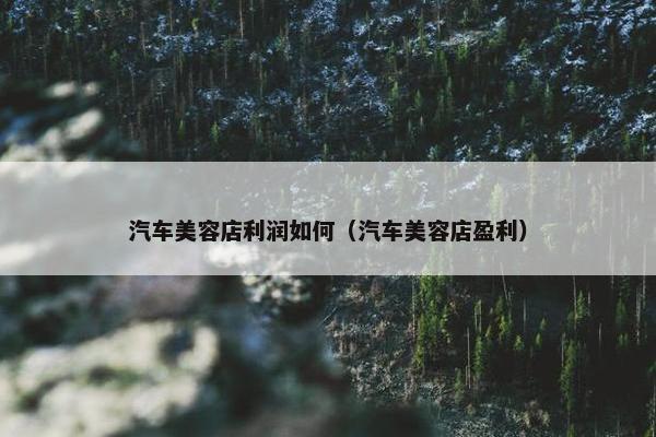汽车美容店利润如何（汽车美容店盈利）