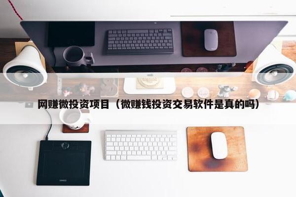 网赚微投资项目（微赚钱投资交易软件是真的吗）
