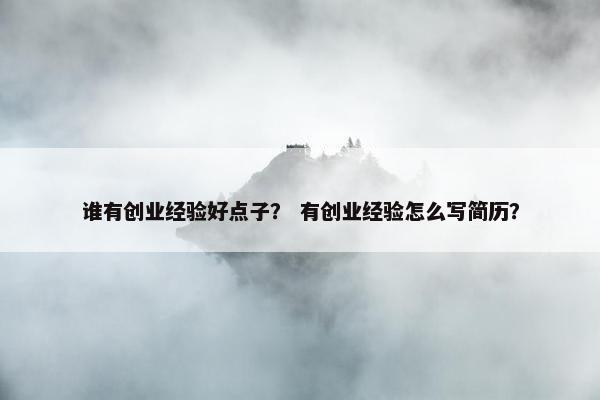 谁有创业经验好点子？ 有创业经验怎么写简历？
