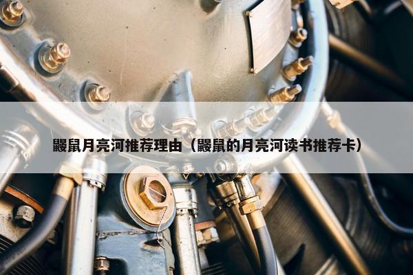 鼹鼠月亮河推荐理由（鼹鼠的月亮河读书推荐卡）
