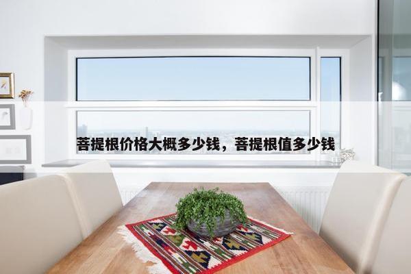 菩提根价格大概多少钱，菩提根值多少钱