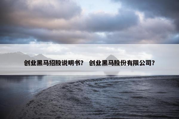 创业黑马招股说明书？ 创业黑马股份有限公司？
