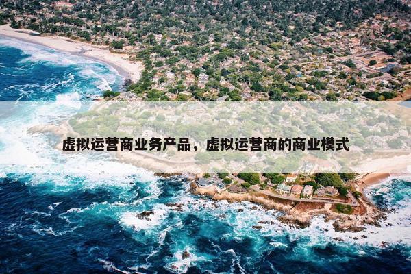 虚拟运营商业务产品，虚拟运营商的商业模式