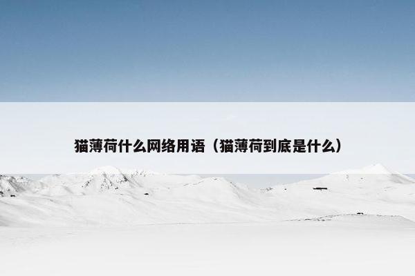 猫薄荷什么网络用语（猫薄荷到底是什么）