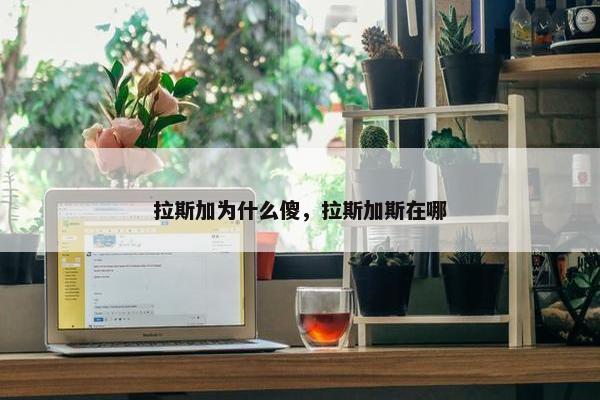拉斯加为什么傻，拉斯加斯在哪