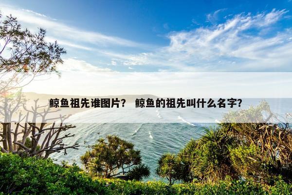 鲸鱼祖先谁图片？ 鲸鱼的祖先叫什么名字？