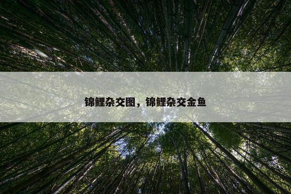 锦鲤杂交图，锦鲤杂交金鱼