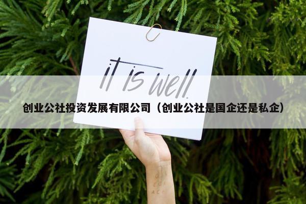 创业公社投资发展有限公司（创业公社是国企还是私企）
