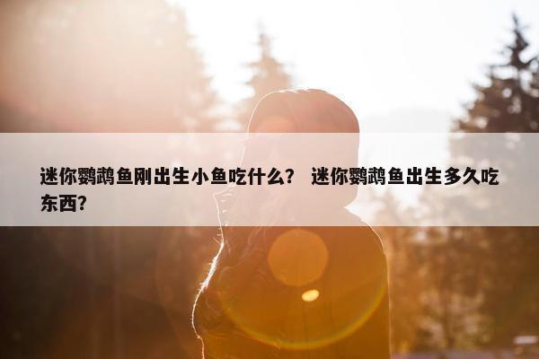 迷你鹦鹉鱼刚出生小鱼吃什么？ 迷你鹦鹉鱼出生多久吃东西？