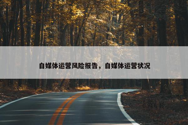 自媒体运营风险报告，自媒体运营状况