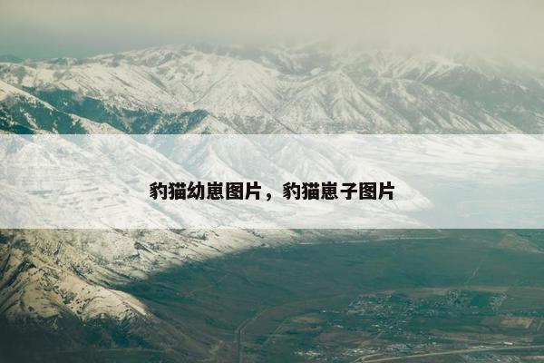 豹猫幼崽图片，豹猫崽子图片
