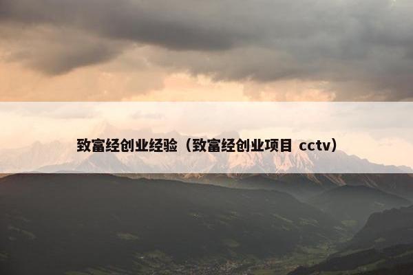 致富经创业经验（致富经创业项目 cctv）