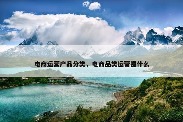 电商运营产品分类，电商品类运营是什么