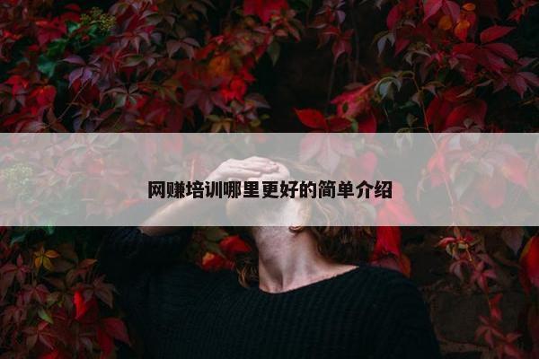网赚培训哪里更好的简单介绍