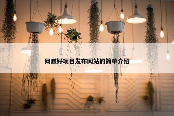 网赚好项目发布网站的简单介绍