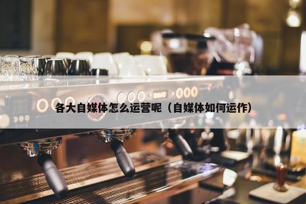 各大自媒体怎么运营呢（自媒体如何运作）