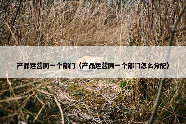 产品运营同一个部门（产品运营同一个部门怎么分配）