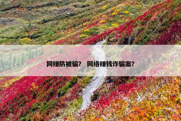 网赚防被骗？ 网络赚钱诈骗案？
